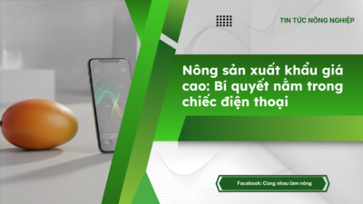 unnamed.png